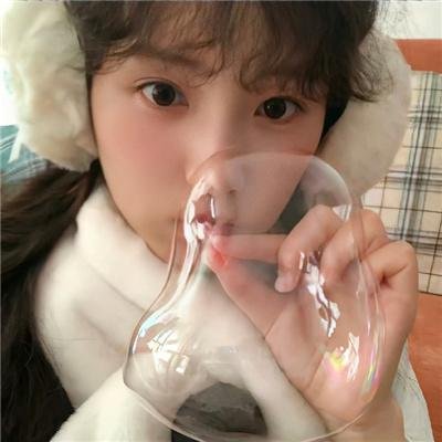 侠盗正传