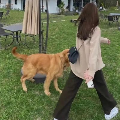 来电狂响